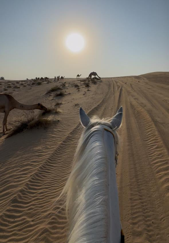 Sunrise Dune Hack