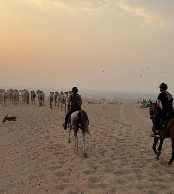 Sunrise Dune Hack