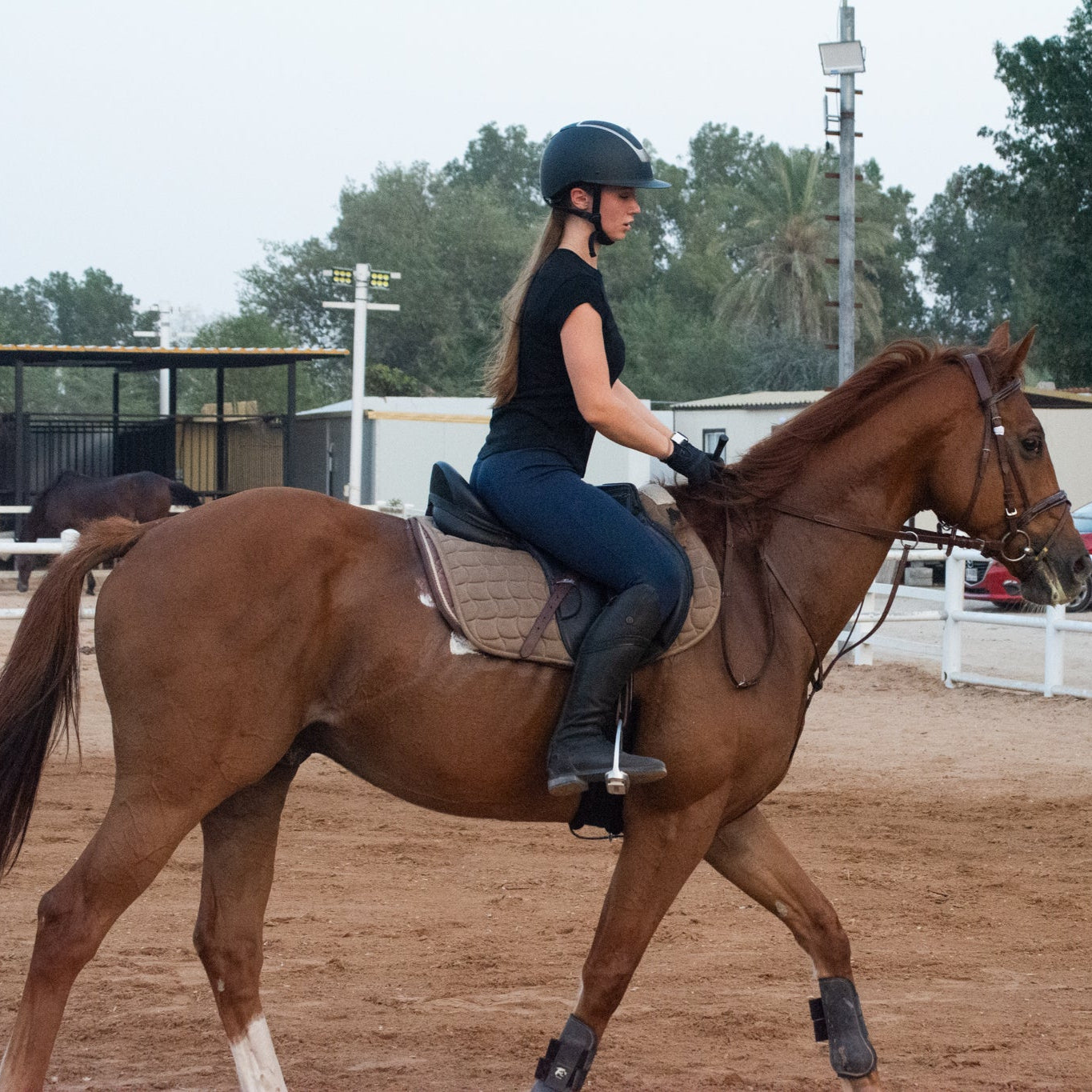 Private Arena Riding Lesson