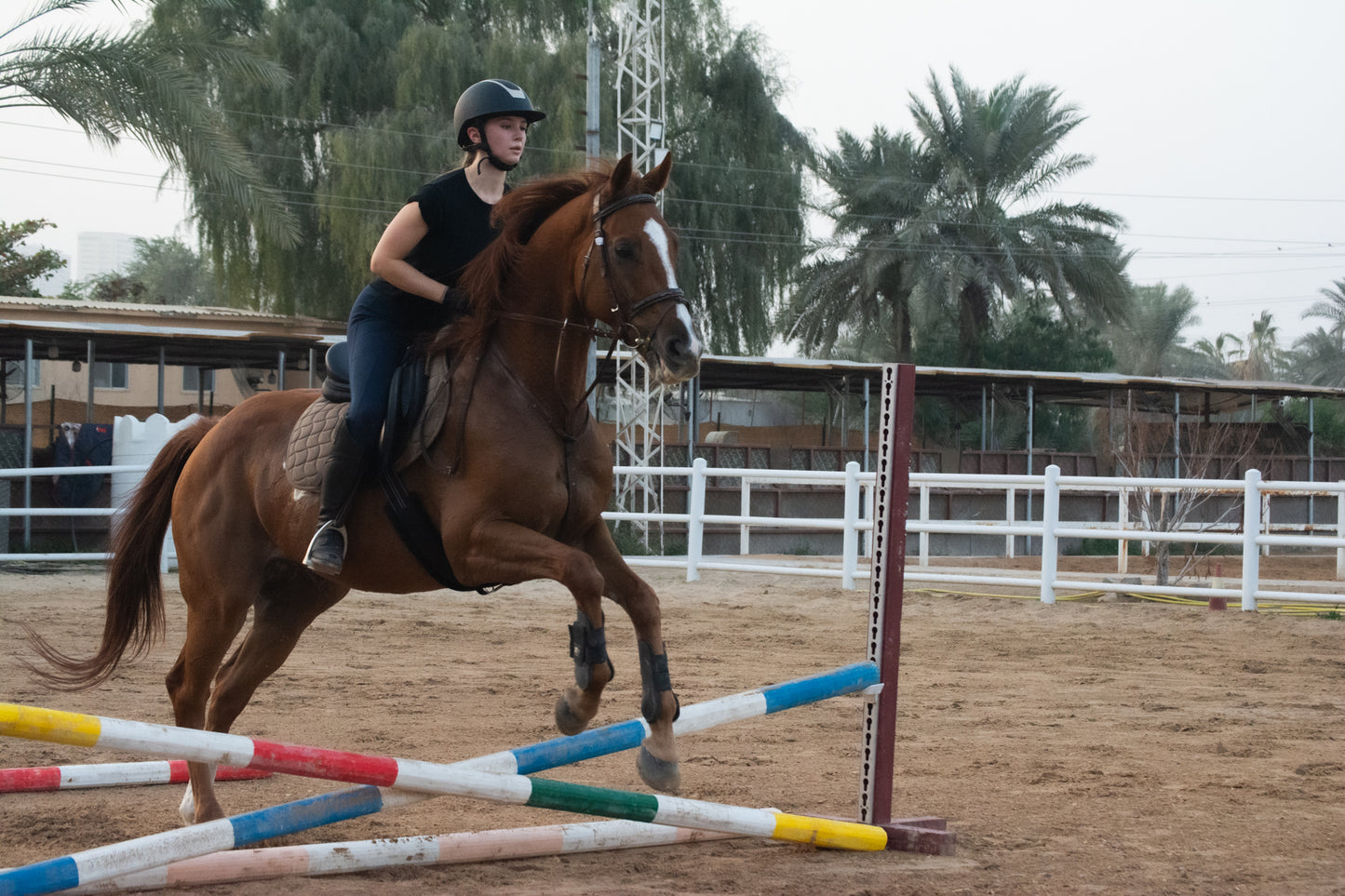 Private Show Jumping Lesson