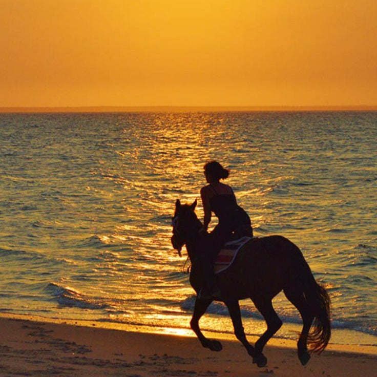 Couple Private Beach Ride