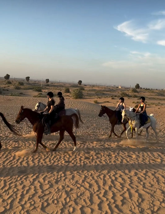 Group Desert Hacking