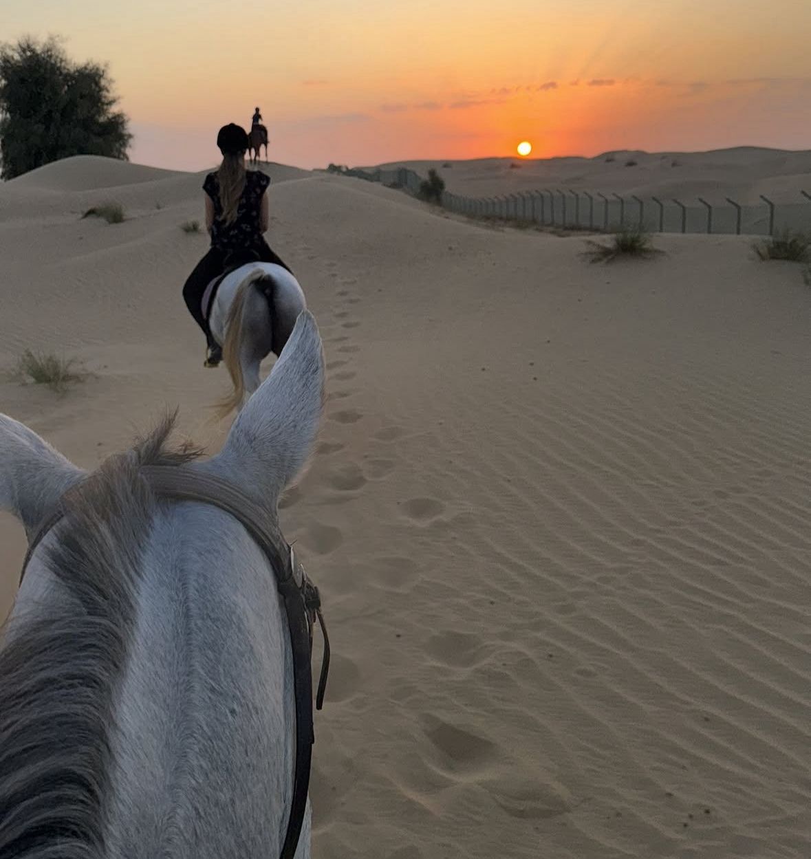 Long Trail Desert Hacking