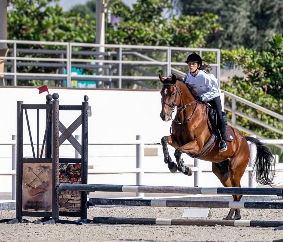 Private Show Jumping Lesson