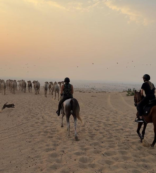 Sunrise Dune Hack (Camel Track)