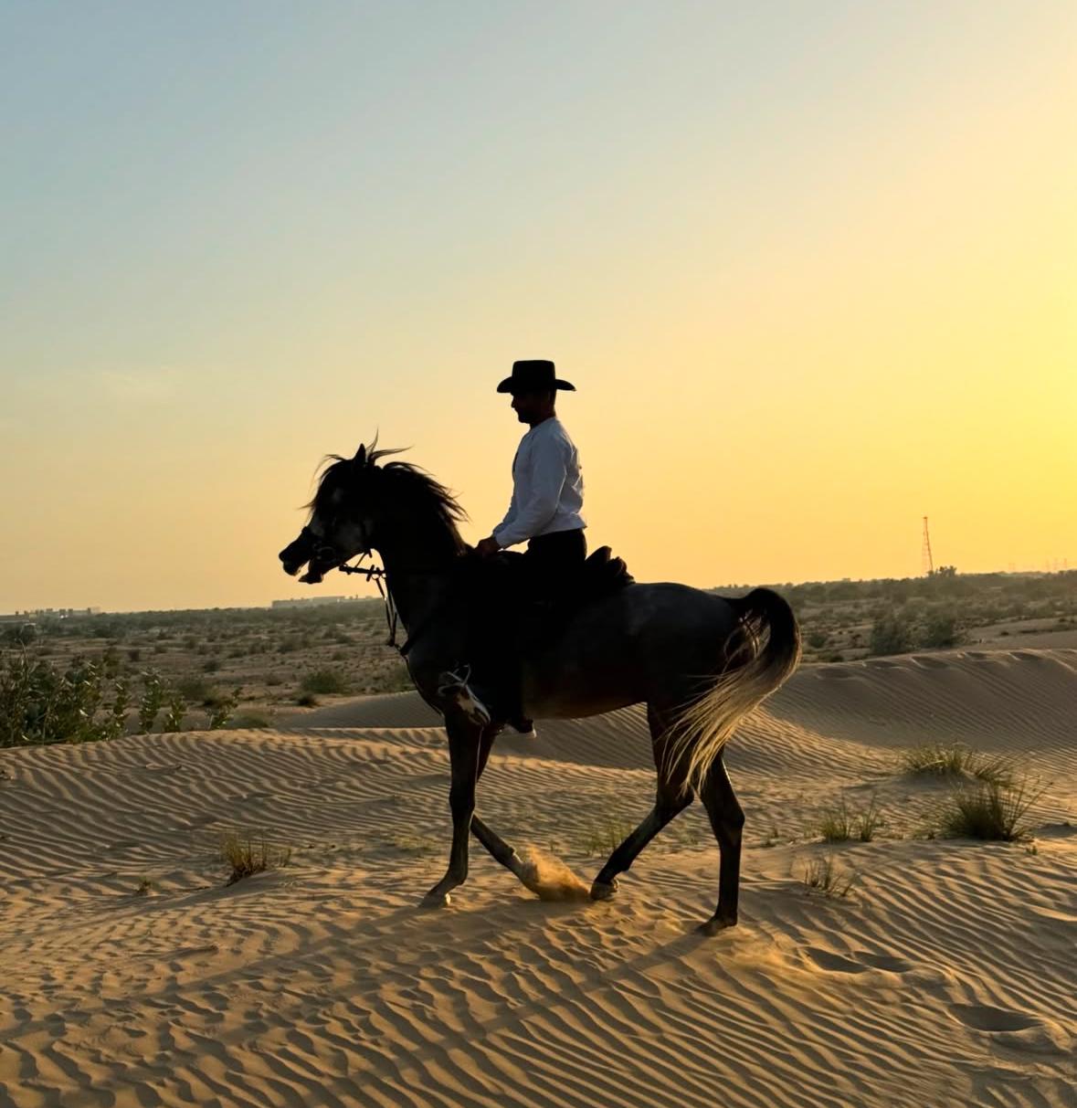 Group Desert package